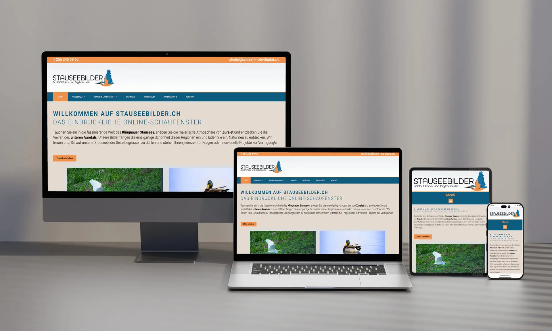 Webdesign rohrervisual Hellikon